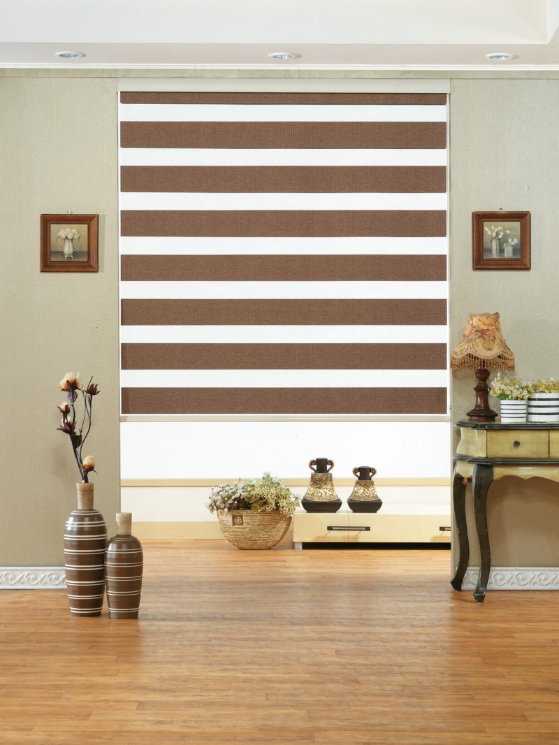 Double Vision (CDV003)