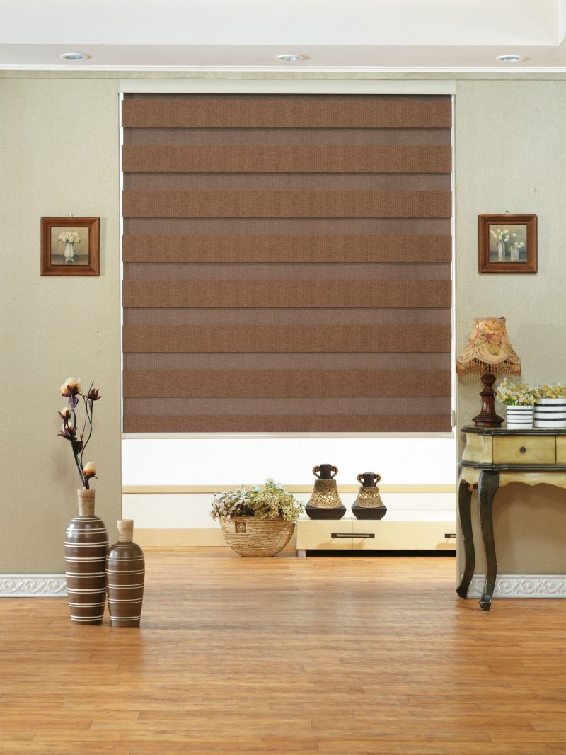 Double Vision (CDV008)