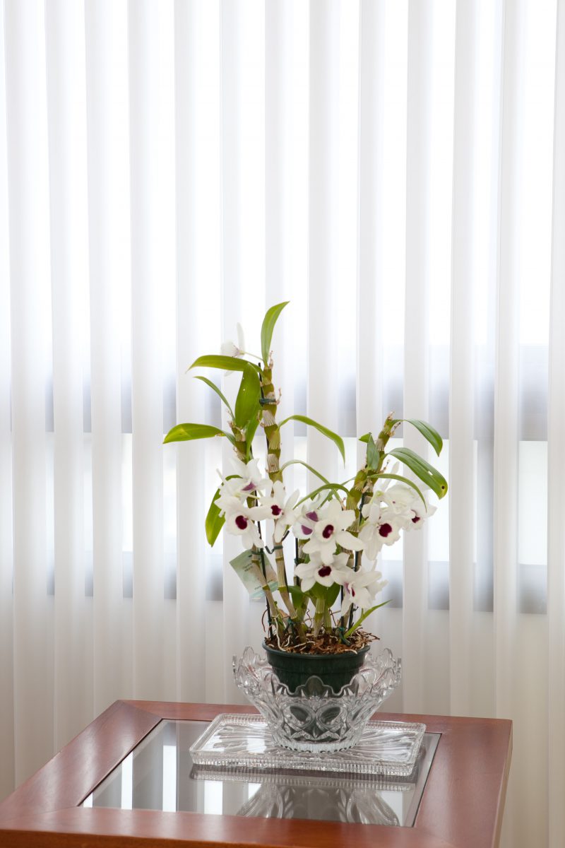 Persiana Vertical (PV005)